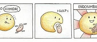 Teoria endosimbiòtica