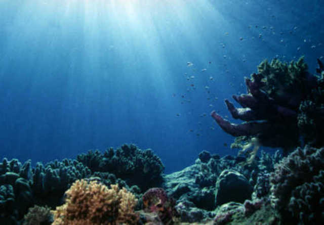 Large Coral Reefs Formed