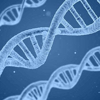 Timeline: Descubrimientos de DNA