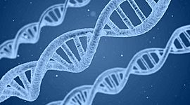 Timeline: Descubrimientos de DNA