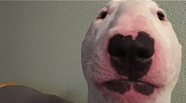 Timeline: Gov Timeline