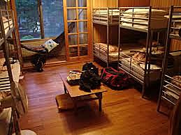 Dino kam im Hostel an