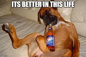 Benno bekam betrunken