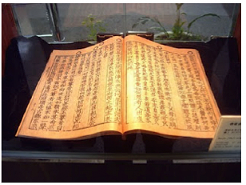 Siglo I: Libros Adversia y Codex.