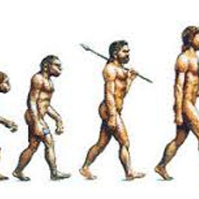 Timeline: Evolutionary Stages of Mankind