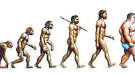 Timeline: Evolutionary Stages of Mankind