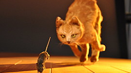 Timeline: Maus_Charis Pan