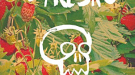 Timeline: CAMPOS DE FRESAS (Jordi Sierra Ifabra) Santiago Ruiz Estirado 3c