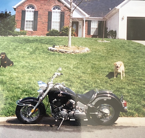 Me mudé de Charlotte a Wesley Chapel