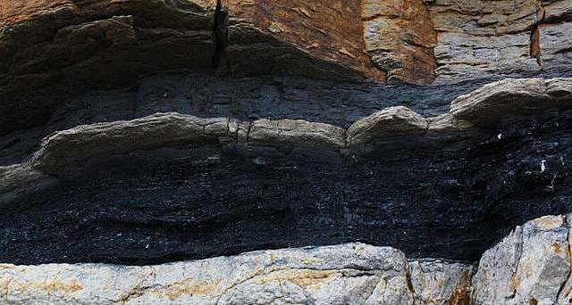 Primeros restos de carbón