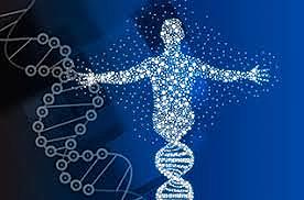 Proyecto del Genoma Humano