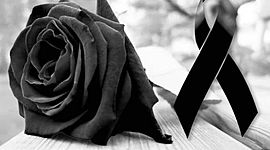 Timeline: Proceso de duelo