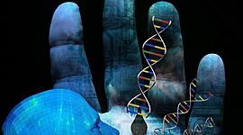 Timeline: genoma humano