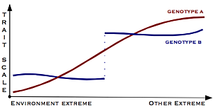 DIFERENCIACIÓN SEXUAL