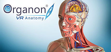 3D Organon VR Anatomy
