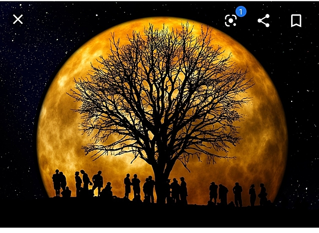 HUMANISMO EXÓTICO O DE LA ERA INDUSTRIAL. 2.0