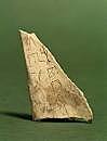 Oracle bones carved in China