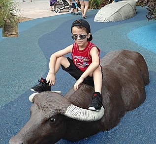 My first time going to the zoo