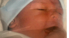 Timeline: Mi Vida- Cecilia Monrroy