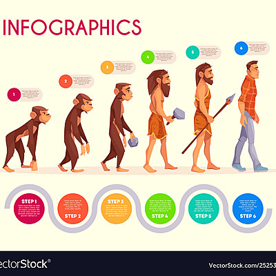 Timeline: Evolution of the human being