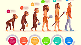 Timeline: Evolution of the human being