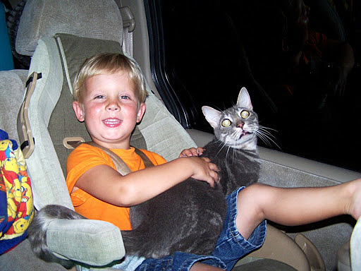 Mudé de Nueva Jersey a Matthews, Carolina de Norta