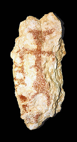 Paleolitico Superiore - Homo Sapiens