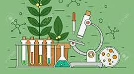 Timeline: BIOLOGÍA.