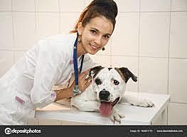 Dino bringt Beno zum Tierarzt und bleibt die Nacht.