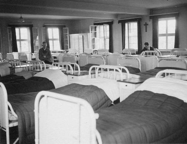 Dino hat einen Platz im schlafsaal gebucht