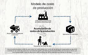 Consolidación y Desarrollo