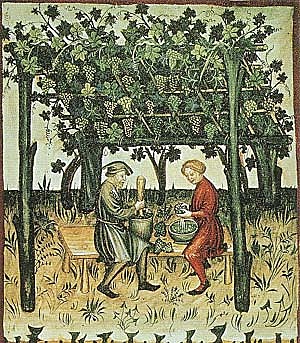 Costos de producción