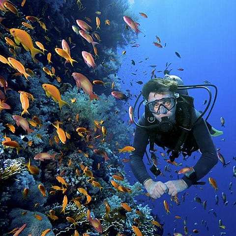 Surgimiento del turismo alternativo