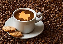 PRIMEROS CULTIVOS DE CAFÉ EN COLOMBIA.