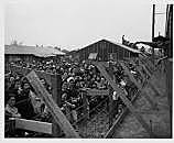 Japanse Internement Camps