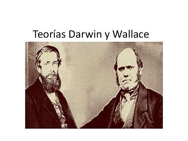 Darwin y Wallace. El origen de las especies: Teoría evolutiva