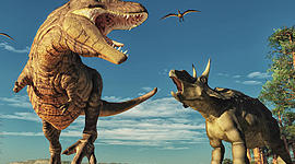 Timeline: Геохронологическая история Земли