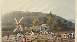 Timeline: Gospodarske razmere v 20. stoletju