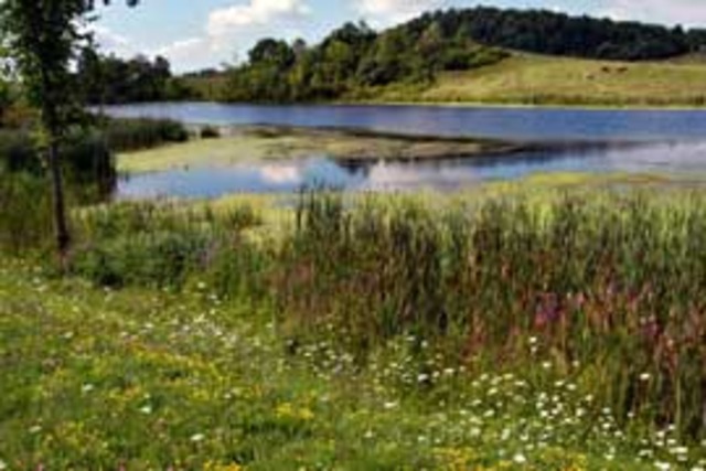 The Best Summer ever