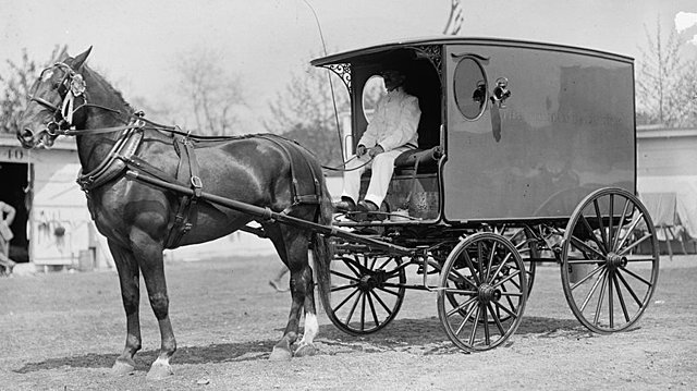 horse and wagon