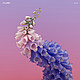 01 flume skin 1