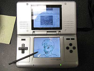 Nintendo Dual Screen (DS