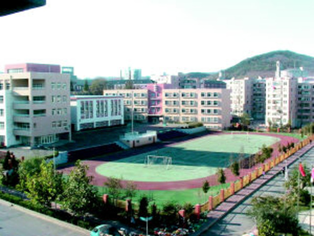 My Primary School In Dalian