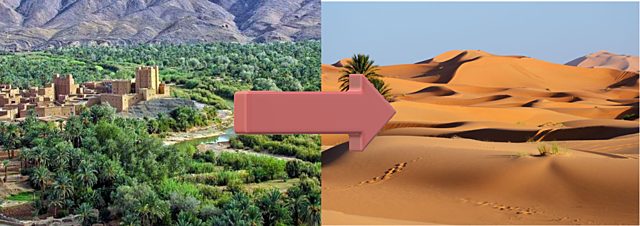 Extinció dels Marroquins del Sur