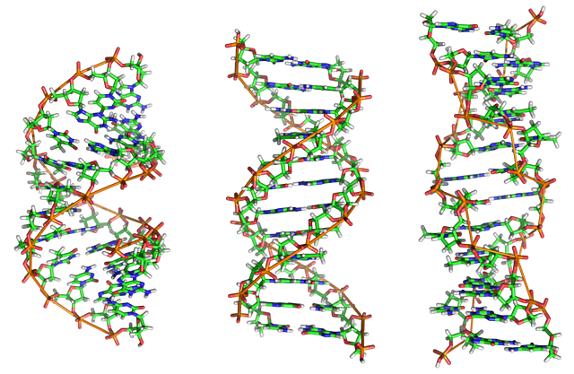T. Avery y Investigadores