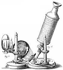 Microscope