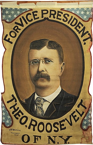 Elected Vice President