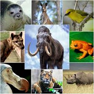 Timeline: Animales extintos