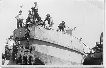 EXPORTACIÓN DEL OPIO