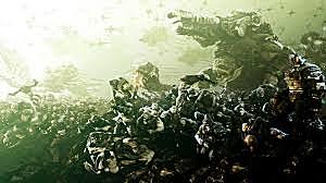 Recuperación locust